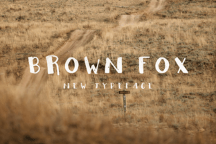 Brown Fox: A Designer’s Real-World Script Font Review