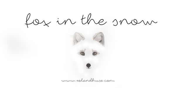 Fox in the Snow: A Handwritten Font That Builds Trust