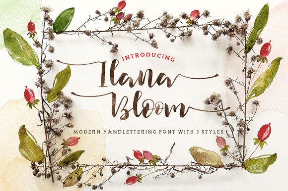Ilana Bloom: A Designer’s Real-World Script Font Review