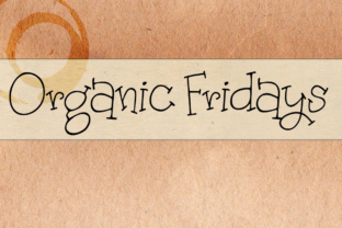 Organic Fridays: A Serif-Driven Display Font for Scroll-Stopping Campaigns