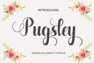 Pugsley: A Handwritten Font with Editorial Warmth