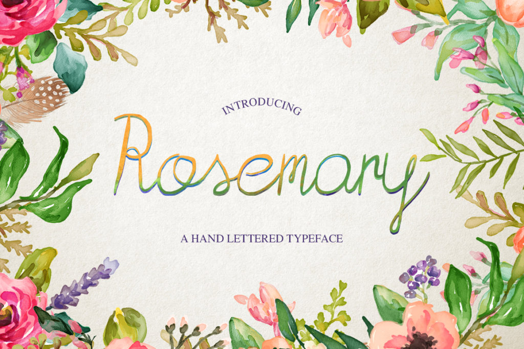 Rosemary: A Handwritten Font That Makes Your Campaign Feel Human