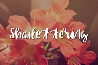Shailettering: A Hand-Drawn Script Font with Editorial Warmth